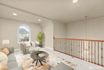 gym, office, play space, lounge area..... many options for your enjoyments