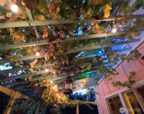 Porch/vine trellis off main residence living room