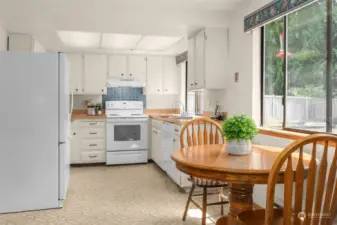 Kitchen with back yard views.