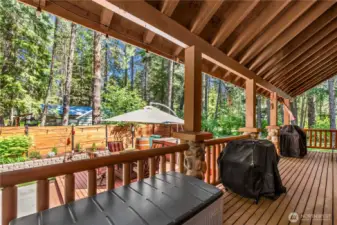 Covered Back Deck