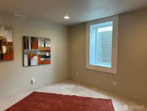 Basement apt living/bedroom