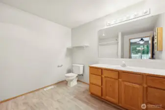Large primary bathroom
