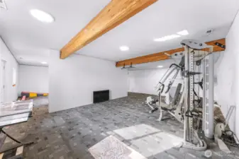 Lower Level/Basement Bonus Room-Gym.