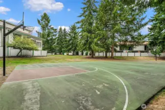 Basketball Court