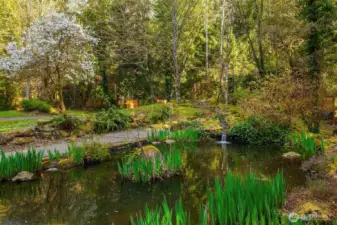 A marvelous Koi Pond with Waterfall Water Feature!