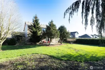 Another view of the Backyard