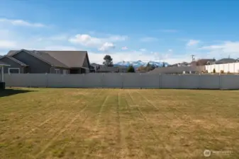 Totally Flat Back Yard!