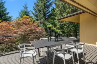 Back deck off of dining room