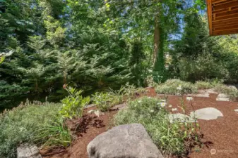 garden space in back yard