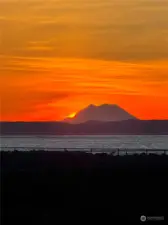 Mt Rainier from Dreamscape Building.