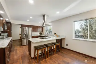 Stunning new kitchen with room for more seating at bar looking out to large back yard with lots of hard surface flooring and recessing lighting to keep it bright