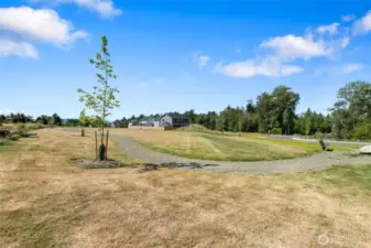 View of CHR Park from the house