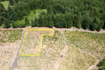 Build site in yellow