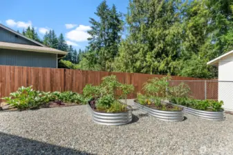 The fenced garden area features raised beds, brimming with this year's harvest for farm-to-table freshness.raised garden beds are teeming with this year's vibrant harvest, including tomatoes, celery, beets, zucchini, and a plentiful array of herbs, all ready for your enjoyment.
