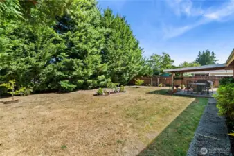 Huge Yard
