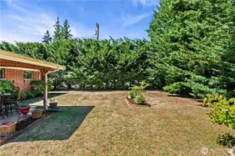More of the yard and covered back patio