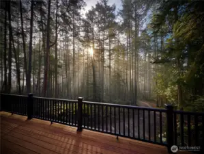 View from deck