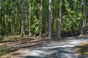 Private driveway with parking turnouts