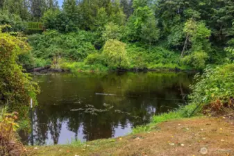 Nearby Stillaguamish River