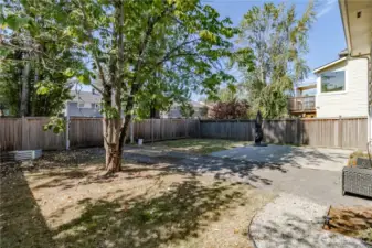 Fully fenced backyard