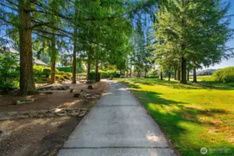 Golf Cart path