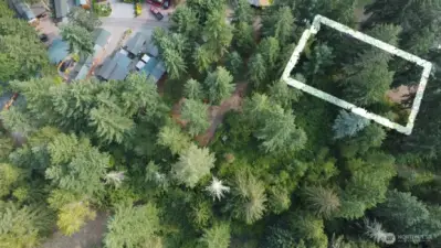 4 CEDAR