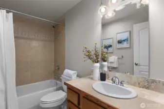 Lower level ensuite bath