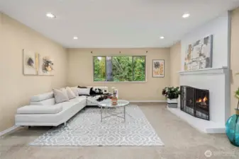 Large bonus/family room at lower level with a fireplace