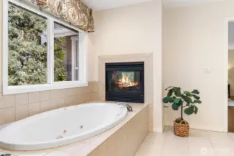 Master bathroom featuring a deep soaking jetted tub set against a private view and a 2 way fireplace.