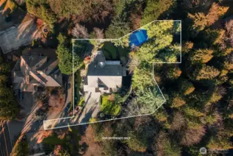 Overhead drone shots showing the secluded, tree-lined lot adjacent to 3 private acres of pristine forest  inc. in HOA.
