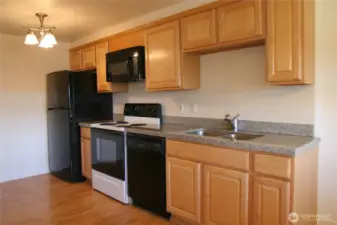 Another view of the full kitchen in the lower unit.