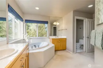 Soaking tub, walk-in closet and private toilet room