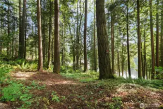 Cleared area and possible location of home 2nd view