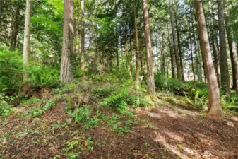 Waterfront, privacy, community, and close to everything!