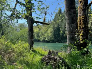 One of several points of access to the Cowlitz River