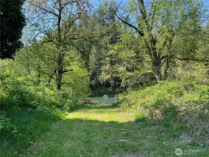 One of several points of access to the Cowlitz River