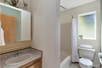 Guest bathroom