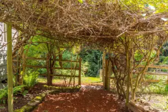 Another charming entrance in the lovely gardens, enjoy the sweet sounds of nature in this tranquil garden.