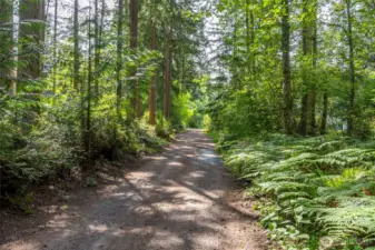 Quail Trail Drive leading up to the private driveway.