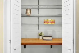 The handy pantry in the kitchen.