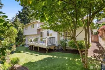 Privacy (and easy-to-maintain turf).