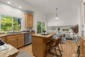 Great chef's kitchen with sight lines and easy access to yard and family room.