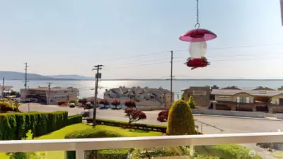View from deck