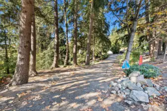 Long tree-lined drive off Edgewood Dr