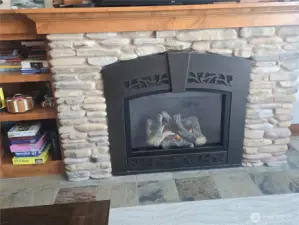 Propane fireplace