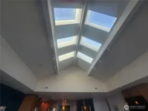 Skylights over great room