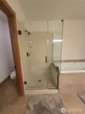 Primary bath shower
