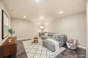 Basement Movie area. Tucked in the back of the basement with little light for optimal movie experience.