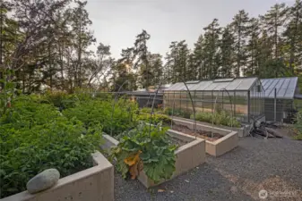 Thoughtfully designed raised garden beds and greenhouse structures provide a beautiful and functional outdoor space for gardening enthusiasts seeking a luxury island property with sustainability in mind.