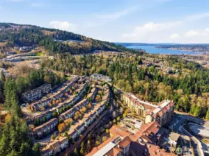 Talus Community in Cougar Mountain